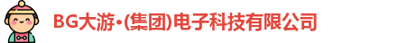 BG大游电子官方网址